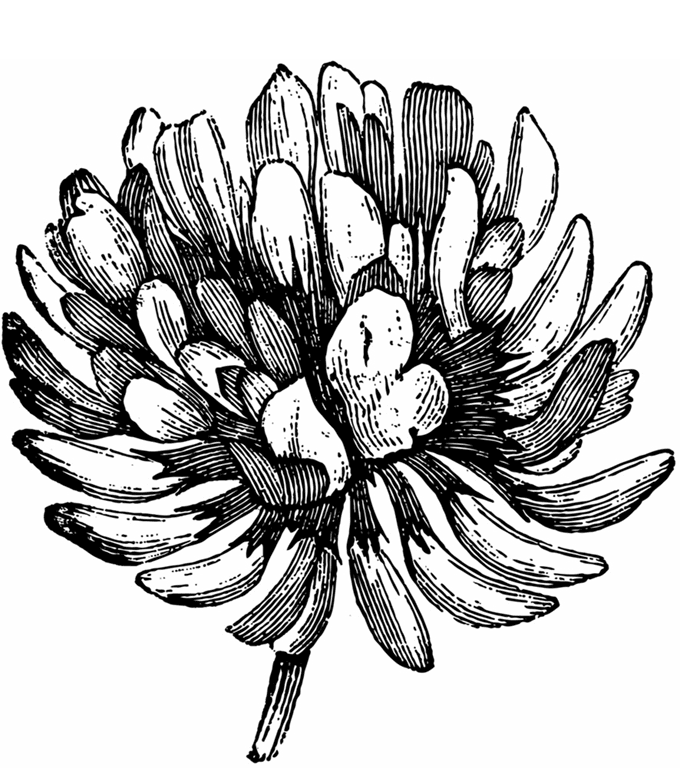 featured-Climate Strategy Position Paper